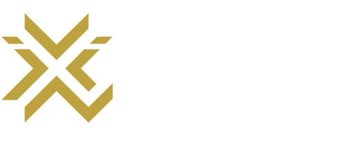 VINX Logo